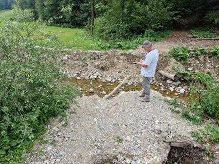 Gozdna cesta Mali hrib - Španov mlin 